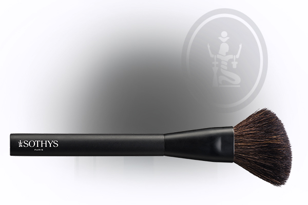 Erleben Sie die Dekorative von SOTHYS - Pinsel für Ihr Make-up-Meisterwerk