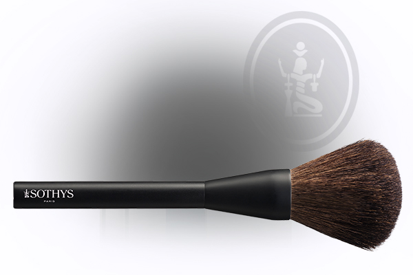 Erleben Sie die Dekorative von SOTHYS - Pinsel für Ihr Make-up-Meisterwerk