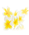 Aroma-Körperpflege - Orangenblüte & Zedernholz